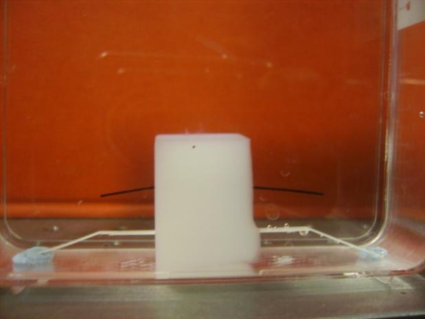 gel, polymer Monitor growth