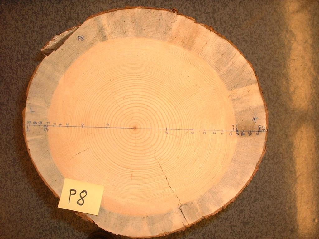 Materials and Methods Log Procurement Twenty-seven log bolts (nine each of White Spruce, Lodgepole Pine, and Subalpine Fir) of 12 diameter and 18 length were received from Canfor s Prince George