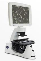 imaging with an EVOS imaging system! An EVOS system is the ideal item to have in the laboratory.