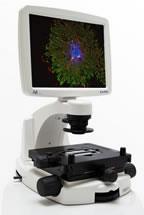 EVOS imaging systems will help you to perform a wide range of applications such as complex protein analysis and