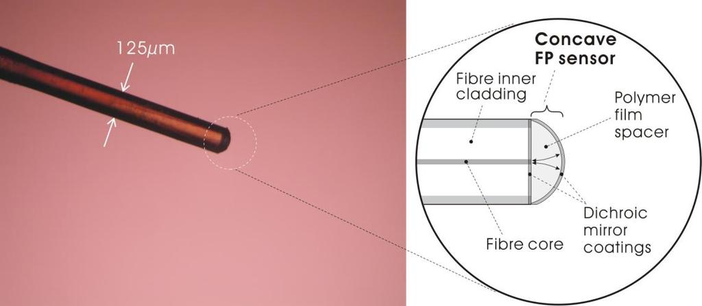 3. CONCAVE FP SENSOR PROBE 3.1. Probe fabrication A concave cavity forward looking single element PA probe, as shown in Figure 2, was fabricated using a dual clad fiber (Fibercore SMM900).