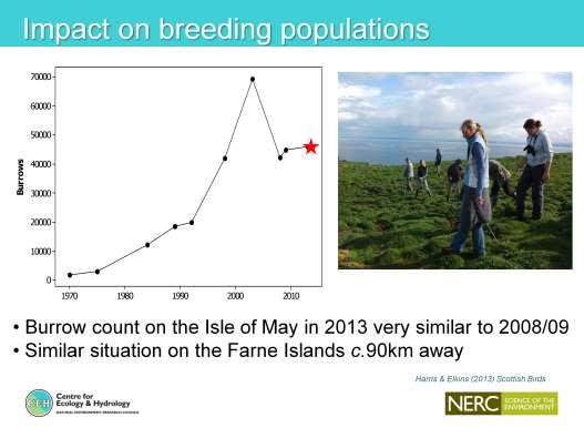 However the count of occupied puffin burrows on the Isle of May in 2013 was in fact very similar to the counts in 2008 and 2009 and thus