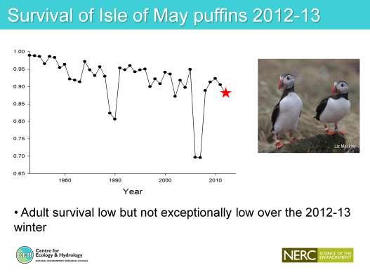 We could also use colour ringed birds to directly check survival rates of adult