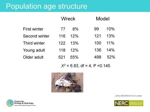 Can also use model to estimate the age structure of the IOM population at the time of the wreck.