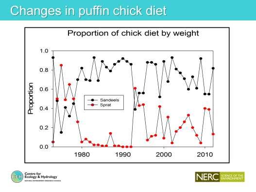 Have seen changes in the fish species brought in by puffins for their chicks.