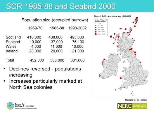 Another major seabird census carried out in 1985-88 provided support for findings from St Kilda and Isle of May and indicated that trend reversed and puffin numbers generally increasing in Britain.