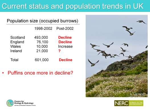 However no major survey of British and Irish seabirds since 2000 currently considerable effort going into getting one organised but unlikely to happen before 2016 at