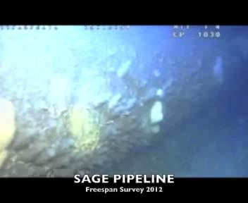1 ST BERYL CAMPAIGN SAGE FREESPAN Around 500 unsupported pipeline lengths, freespans, have been identified on the SAGE pipeline (lengths 10m-57m/ gaps 0.1-2.