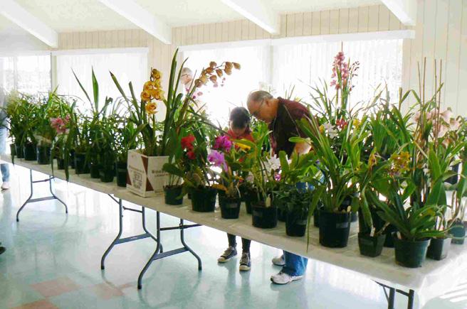 San Diego County Cymbidium Society Page 2 of 8 Executive Board Meeting Dates 2014: April 12, 9am Walt Meier Residence Orchid Auction Saturday, April 5, 2014 It s right around the corner!