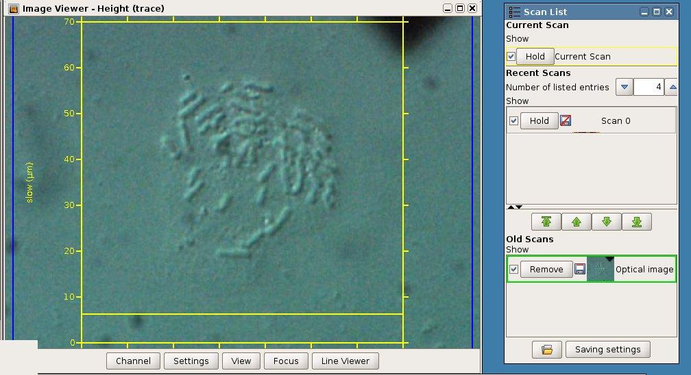 An AFM scan area can now be selected directly in the optical image.