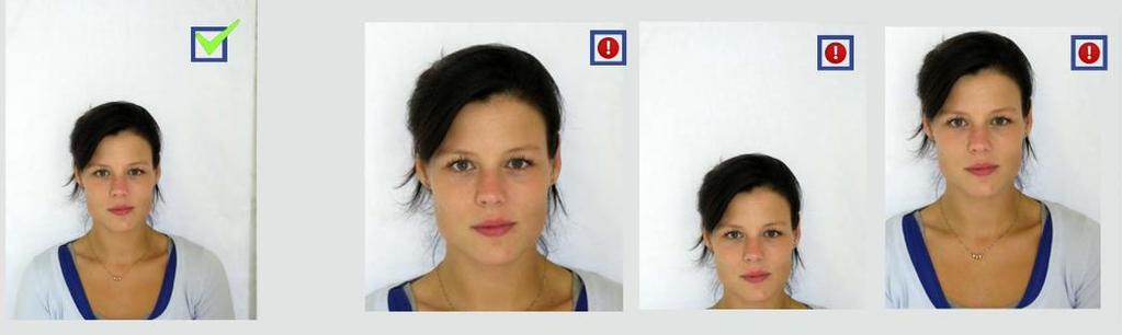 Chapter 4. Check! Before we Print, Email or Save the passport photo we should make sure the passport photo is OK and meets all requirements for official passport photos.
