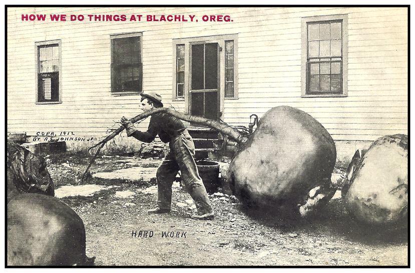A. S. Johnson, Jr. created this postcard showing How We Do Things at Blachly, Oregon. Another early postcard artist who produced exaggeration postcards, Alfred Stanley Johnson, Jr. (A. S. Johnson, Jr.) of Waupun, Wisconsin, published postcards beginning October 30, 1909 and he continued until 1923.