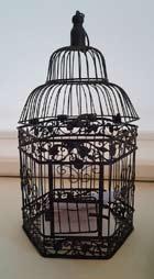 00 (b) Bird Cage
