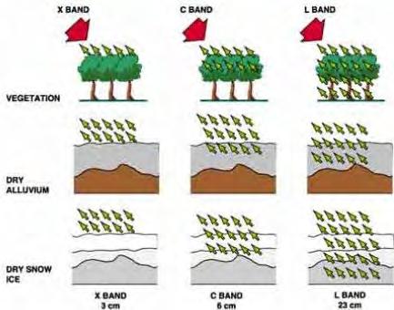 Penetration as a Function of Wavelength Depending on the frequency and polarization, waves can penetrate into the vegetation and, on dry conditions, to some extent, into the soil (for instance dry