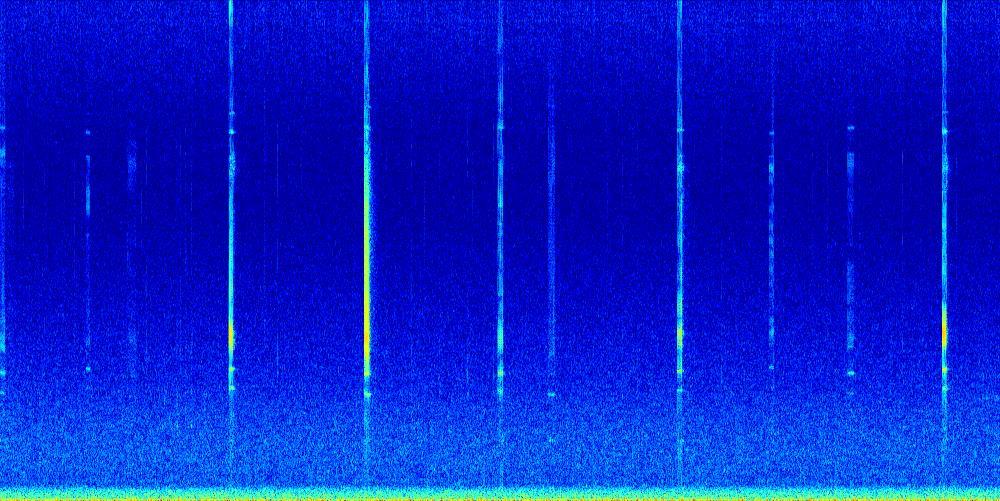 Cuvier s Beaked Whales Cuvier s beaked whale echolocation signals are polycyclic, with a characteristic FM pulse upsweep, peak frequency around 40 khz (Figure 15), and
