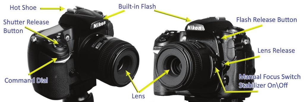 Fast auto focus provided by silent focusing motors and phase detect AF contribute to the SLR s responsive handling. Larger sensor sizes provide superior image quality and better low light capability.