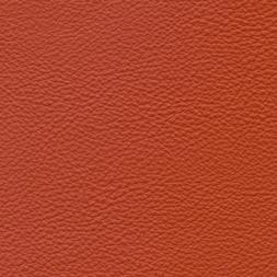 upholstered leather with a