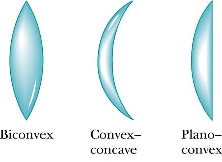 Thin Lens Shapes! These are examples of converging lenses!