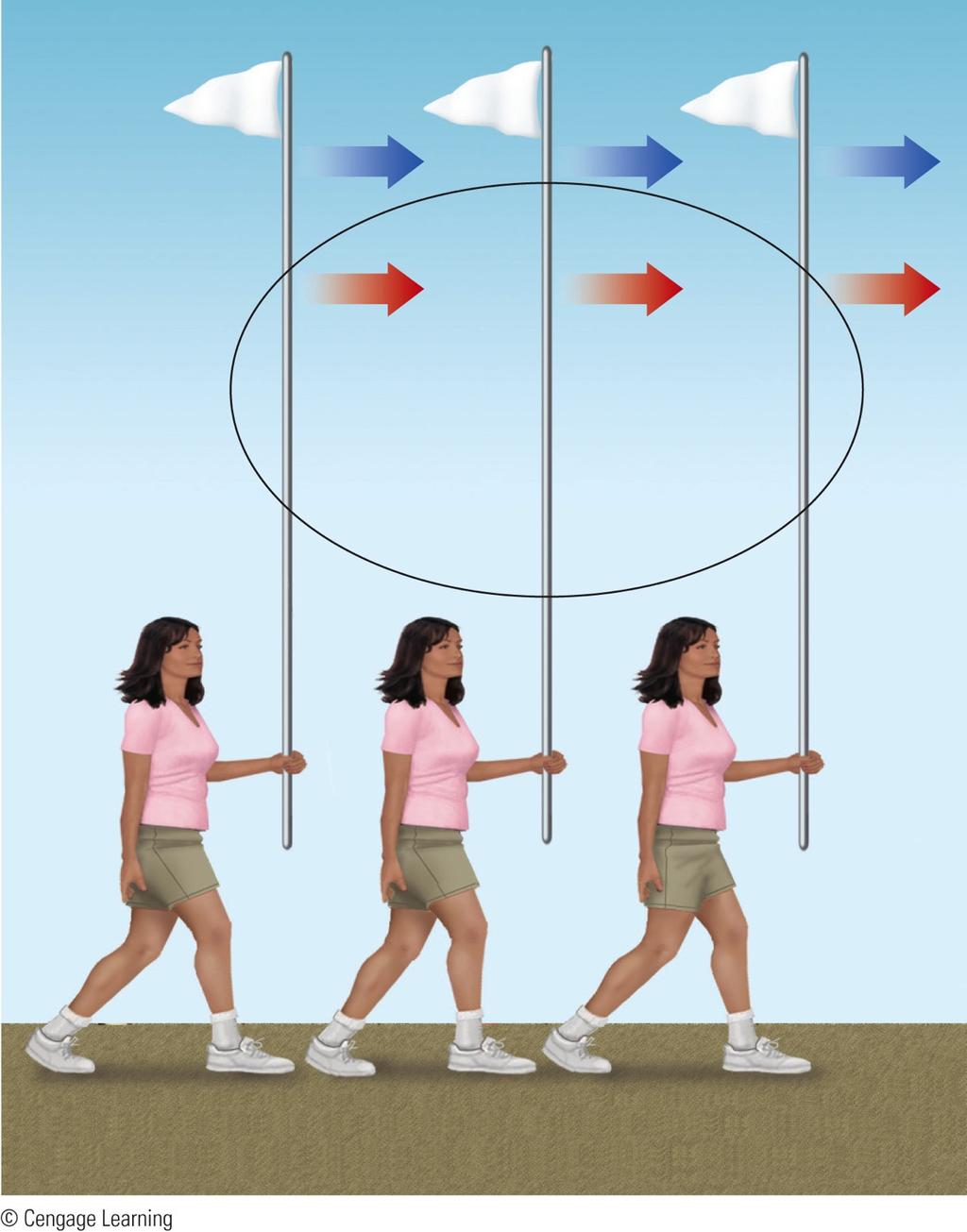 Aperture problem - observation of small portion of larger stimulus leads to misleading information about direction of movement Activity of a single complex cell does not provide accurate