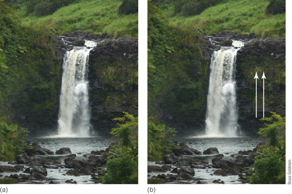 (a) Observation of motion in one direction, such as occurs when viewing a waterfall, can cause (b) the perception of motion in the opposite direction, indicated by the arrows, when viewing stationary