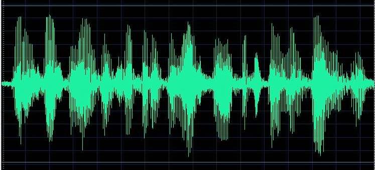 When you have finished click on the Stop button. Your voice is now represented on the screen by a wave form like this one: The next job is to save.