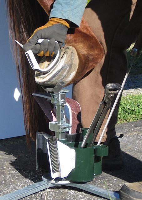 Using a Hoof Stand with a Hoof Cradle to for better support The steady support of a Hoof Cradle makes it easier to remove sole horn with each stroke of