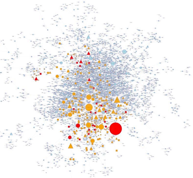 BEN Intervention Effect This is a representation of the full RTP Network as of December 2013, showing the connections between founders and investors, connected by the companies they invest in.