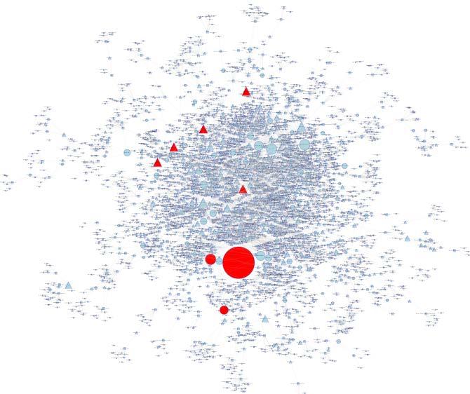 2. RTP Founder and Investor Network Diagram with BEN 1 st Degree Connections: BEN EIRs Same RTP network with the nodes representing the BEN-related EIRS and staff shown in RED Illustrates the
