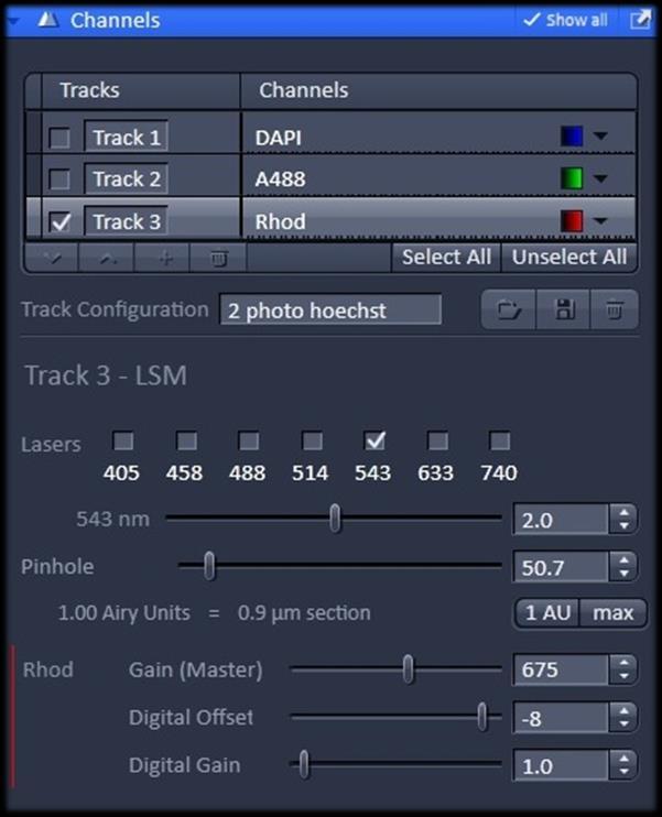 Optimizing scanning parameters 1. Select one Tracks in the Channels tool 2.