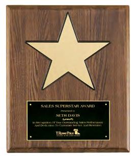 Constellation Series RECOGNIZE OUTSTANDING ACHIEVEMENT WITH A STAR THEMED AWARD Star