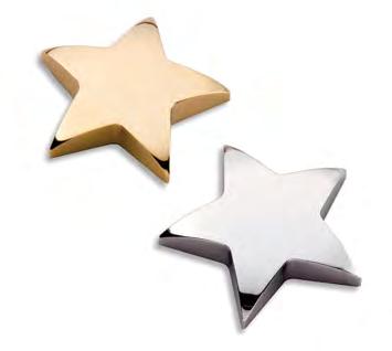 Constellation Series RECOGNIZE OUTSTANDING ACHIEVEMENT WITH A STAR