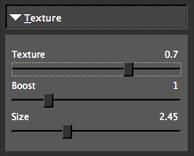 Be careful not to over-use this slider, doing so will make your image appear extremely grainy. Before Topaz Clean Use the Boost and Size sliders to define the texture in your image. 14.