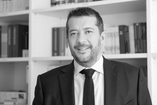 Who I am Alessandro Regogliosi Alessandro is an audit Director enthusiasts of new techs and leading also the Accounting Services Department in Lugano and has over 20 years experience in the audit,