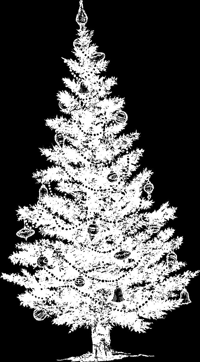index: christmas Winter Frost Designer Series Paper