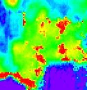 NDVI is a simple and reliable index to identify the existence of vegetation, and