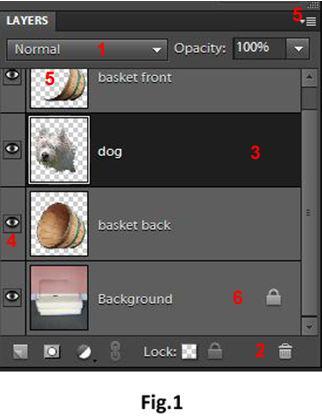 LAYERS, THE HEART OF PHOTOSHOP AND ELEMENTS In Adobe Photoshop and Photoshop Elements the layers feature is probably the most useful and underused feature in the programs.