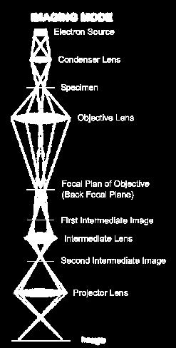 The optical system of the TEM: The objective lens simultaneously generates the diffraction pattern and the first intermediate image.
