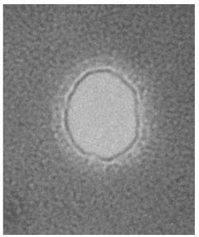 IN IMAGE (AT THE THINNEST PART OF THE SAMPLE) α 1 > α 2