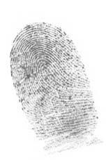 fingerprints Flat