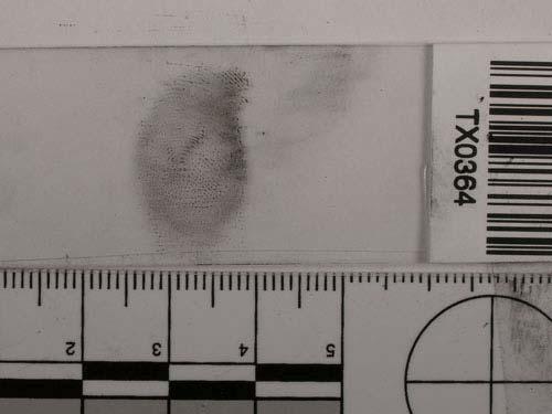 samples Fingerprint images with black