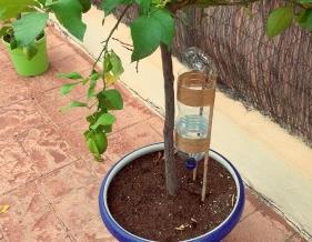 SCIENCE Save the tree, Save the Earth We are the guardians of nature s birth! 1. Self Watering System Make a self watering system for plants.