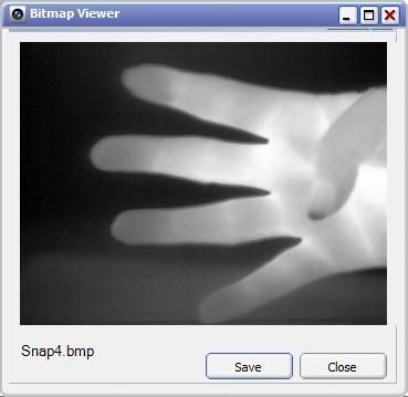A progress bar will appear briefly while the image is being retrieved, and then a separate Bitmap Viewer window will open displaying the selected snapshot, as shown in Figure 5.