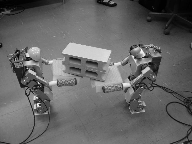 On the other hand, experiment (ii) assumes that two robots carry a stretcher with an object on it.