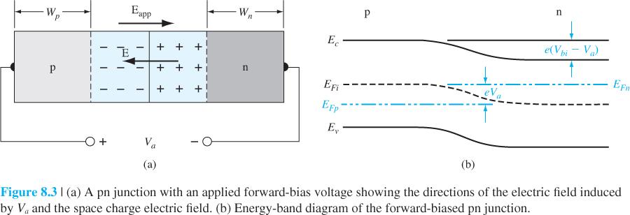 The electric field Eapp induced by the applied voltage is in the opposite direction to the thermal equilibrium space charge electric field, so the net electric field in the space charge region is