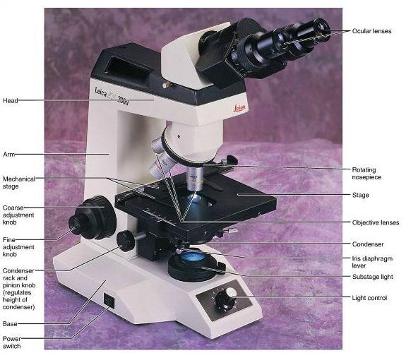 manual. 8 Parts of the Microscope Microscope Part Arm Base Ocular Body Tube Revolving Nose Piece Function Supports the body tube and lenses. Use the arm to carry your microscope.