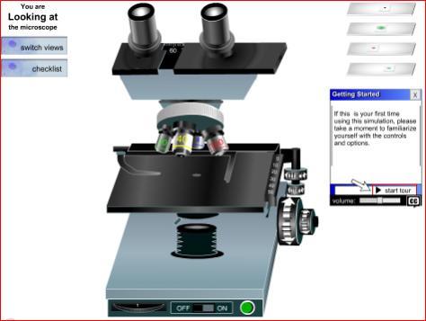 University of Delaware Microscope Tutorial The link to this site is on our Main Web page (under Links