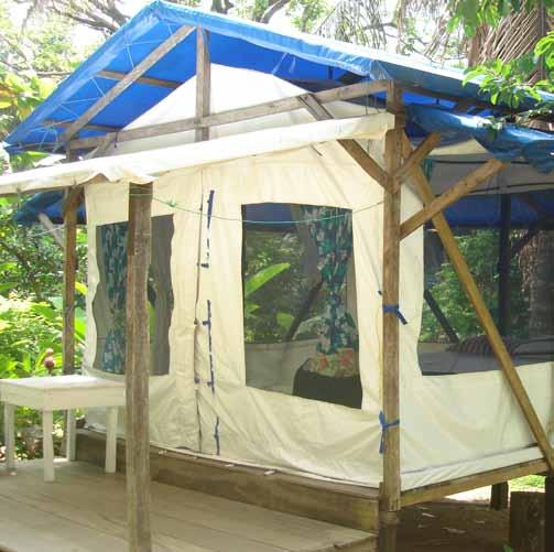 JUNGLE TENT CAMP Please note that for the remainder of the season we will only be accepting volunteers to Piro Research Station due to project needs.