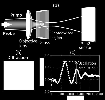 Different probe pulses were used for shorter (<20 ns) and longer (>20 ns) time ranges.