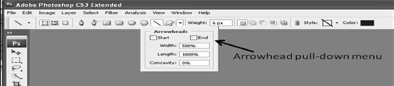 9.You can also use arrows if you d like to point to different features. Draw a line using the Line Tool in the tool box. If the Line Tool isn t showing, click on the Shape or Rectangle Tool.