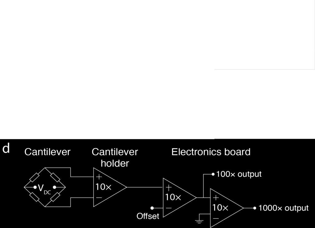 30, Physik Instrumente, USA) was integrated in the holder to excite the cantilever resonance. The custom made electronics setup was used for electrical readout of the self-sensing cantilevers.